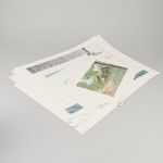 1738 8441 Färglitografi